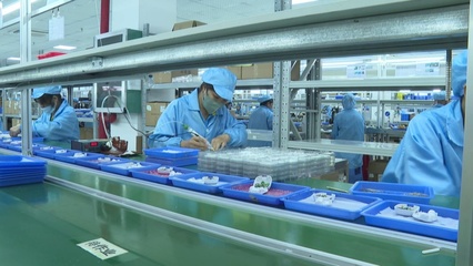 賓陽縣 規(guī)上企業(yè)工業(yè)運行向好 電子產(chǎn)品產(chǎn)業(yè)助力縣域經(jīng)濟揚帆“遠航”